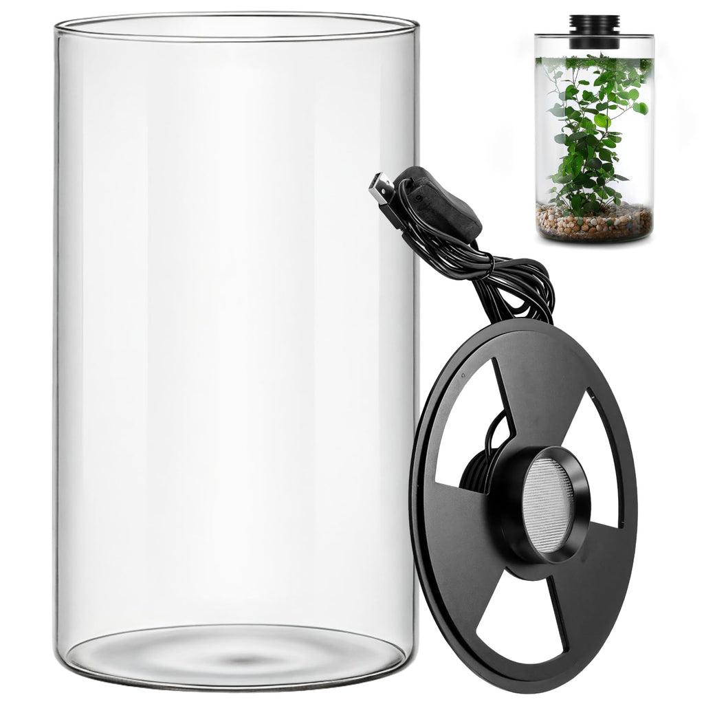 Glass Plant Terrarium with Grow Light 10 X 6IN O5471