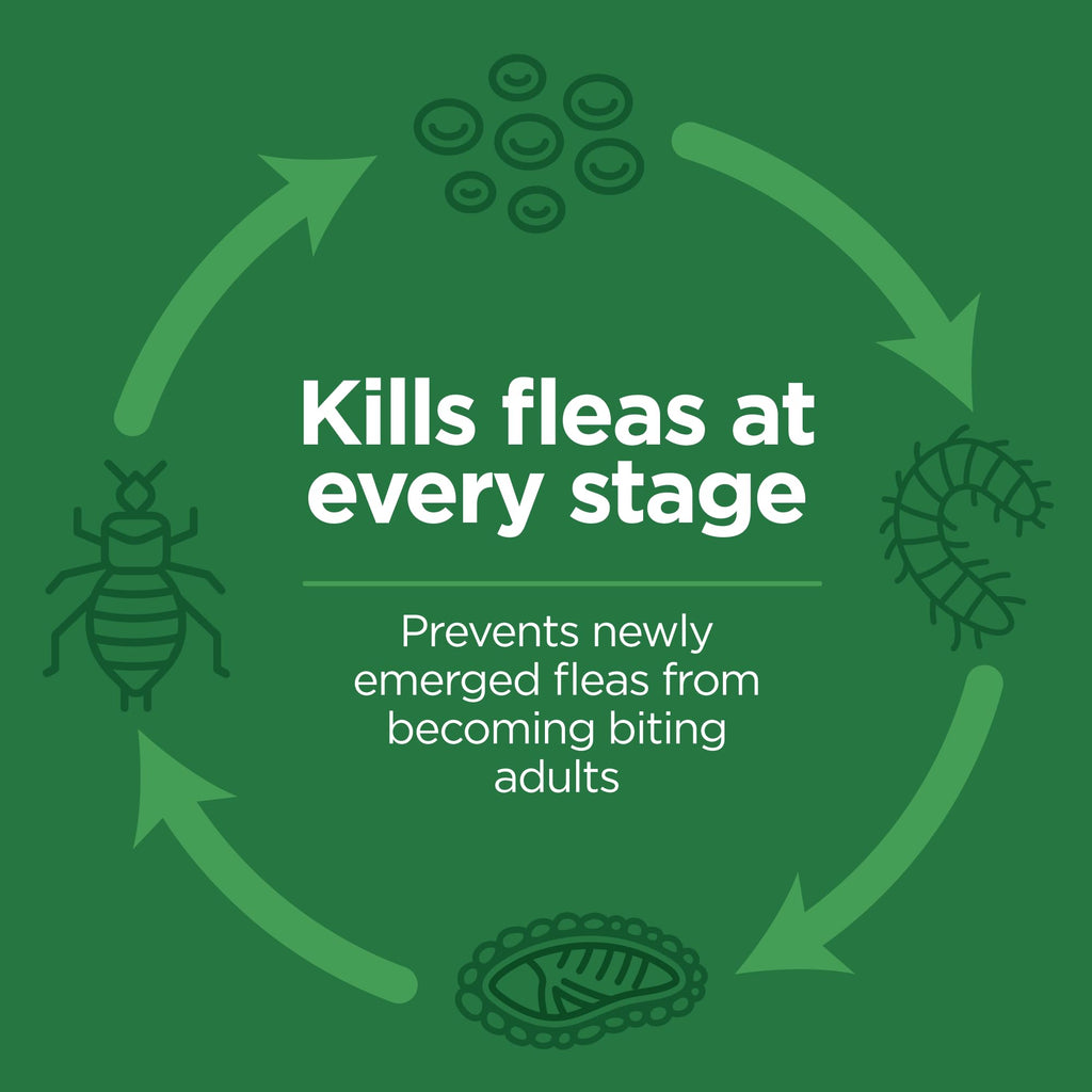 Flea and Tick Topical for Cats 3 Dose M120