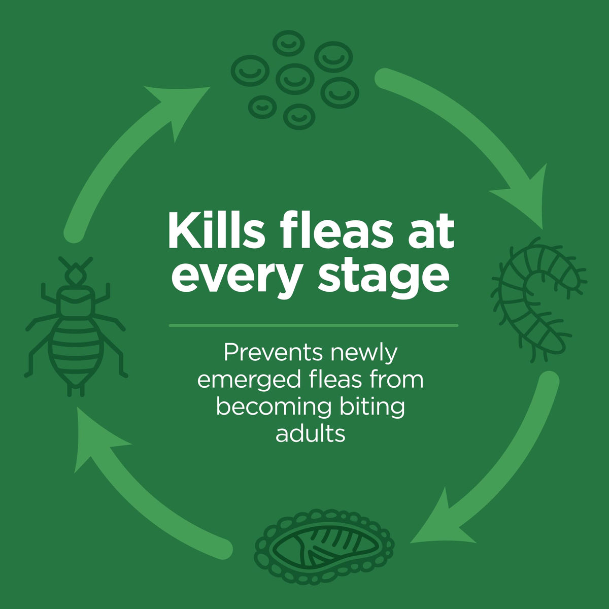 Flea and Tick Topical for Cats 3 Dose M120