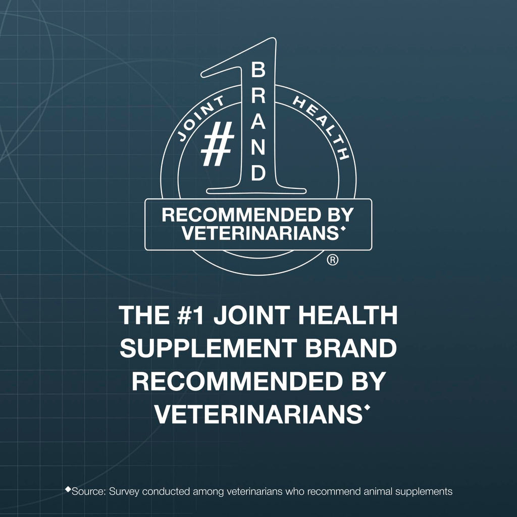 Chewable Tablets Joint Supplement for Large Dogs J314089