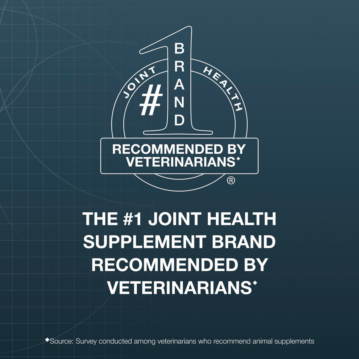 Chewable Tablets Joint Supplement for Large Dogs J314089