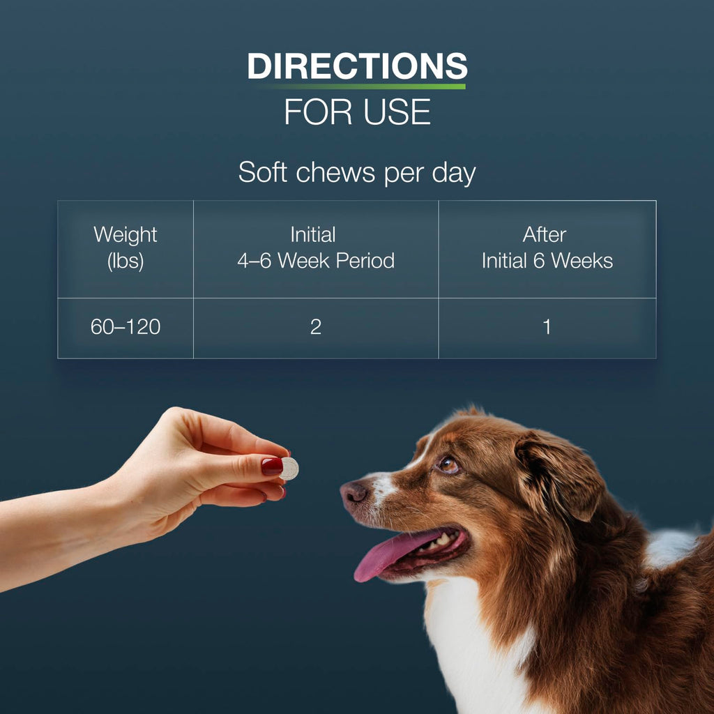 Chewable Tablets Joint Supplement for Large Dogs J314089