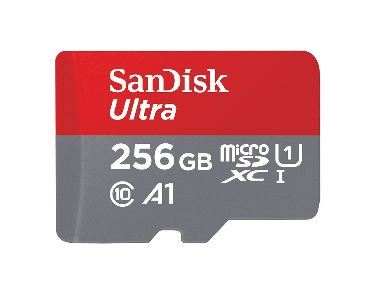256GB MicroSD Memory Card D297909