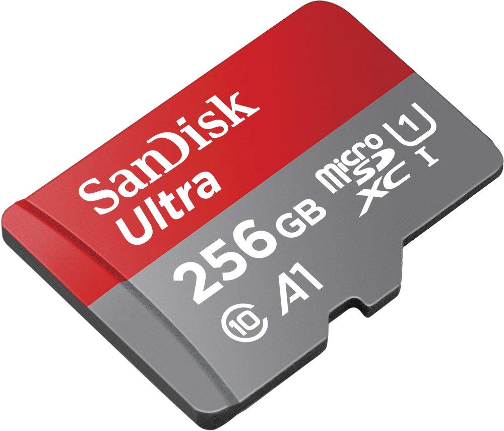 256GB MicroSD Memory Card D297909