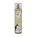 White Tea & Ginger 8.0 oz Body Splash Q96139