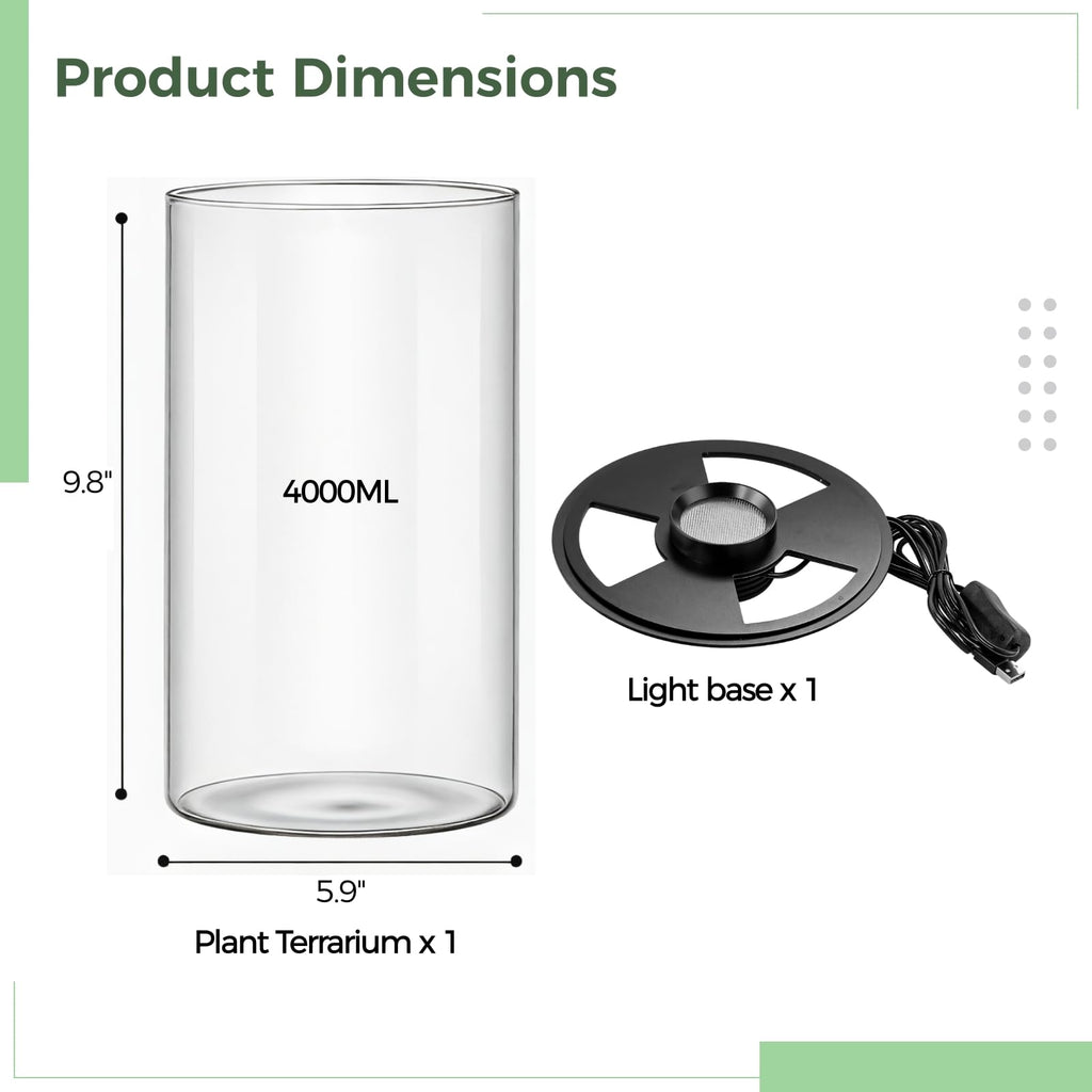 Glass Plant Terrarium with Grow Light 10 X 6IN O5471