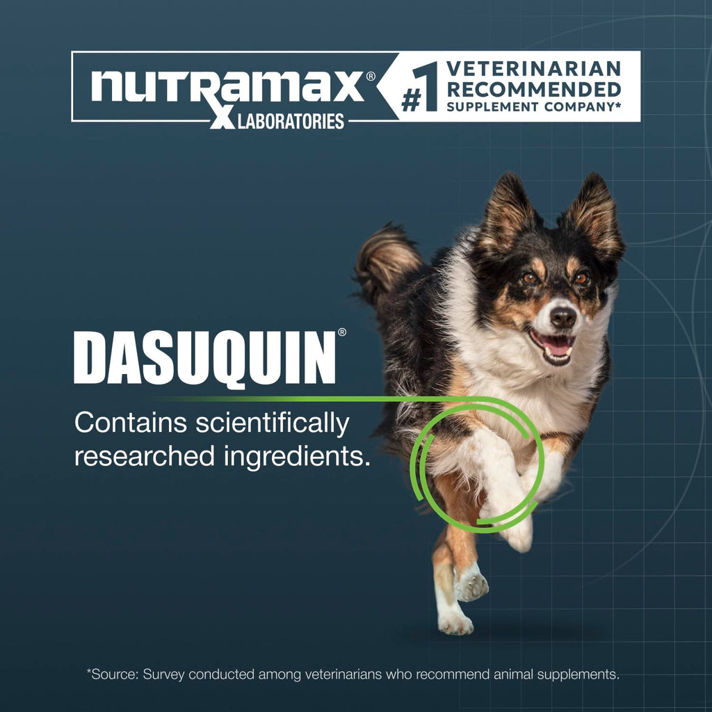 Chewable Tablets Joint Supplement for Large Dogs J314089
