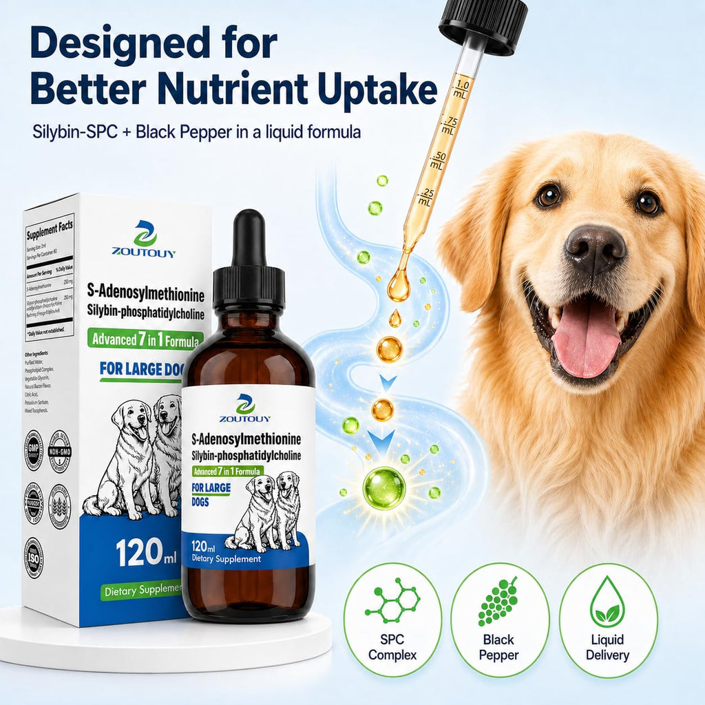 Dog Liver Supplement with Silybin, Milk Thistle, 120ml R183637