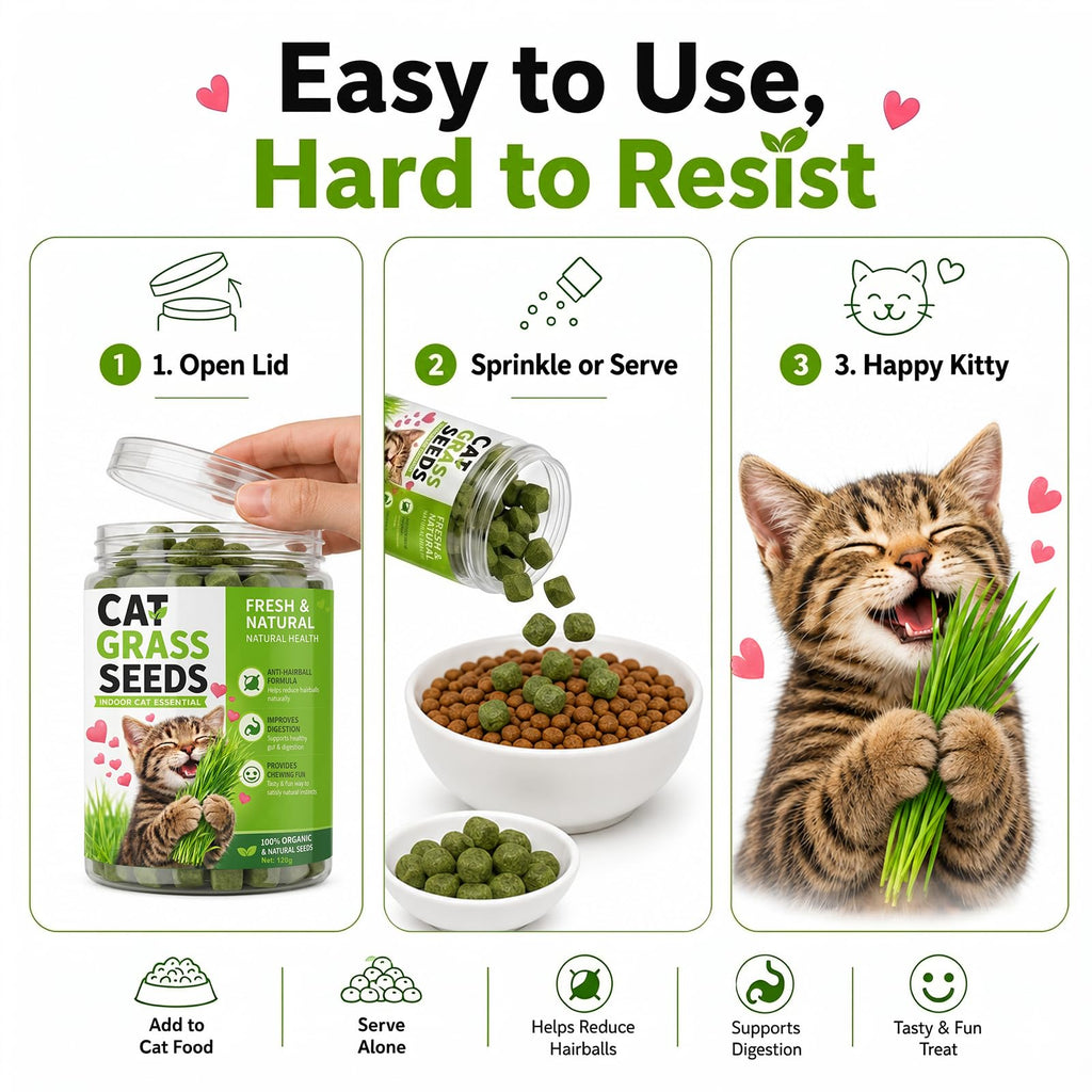 Cat Grass for Indoor Cats T322