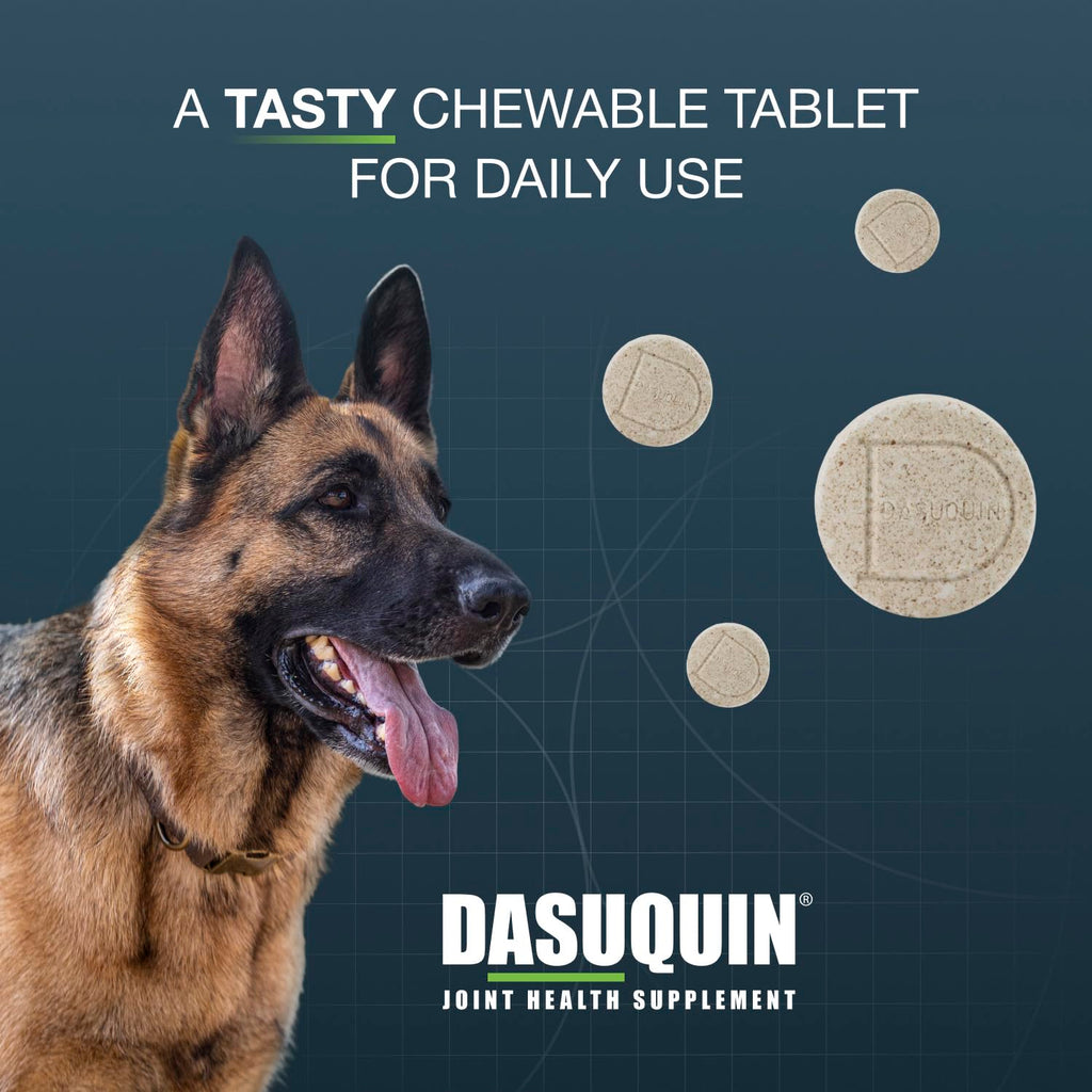 Chewable Tablets Joint Supplement for Large Dogs J314089