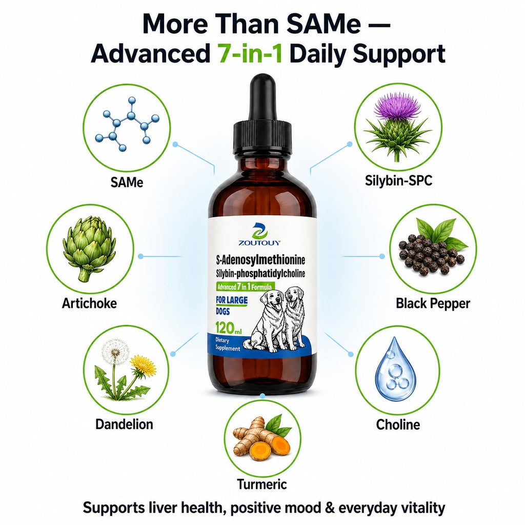 Dog Liver Supplement with Silybin, Milk Thistle, 120ml R183637