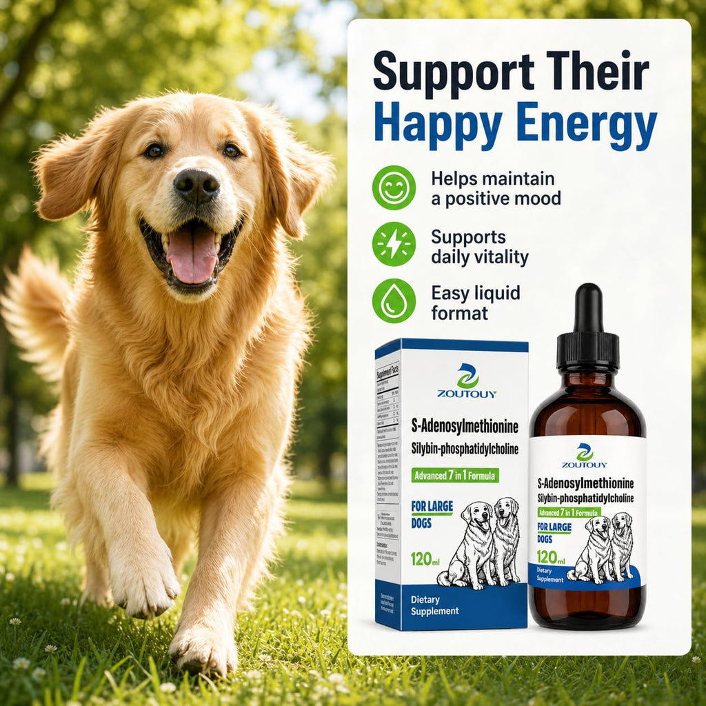 Dog Liver Supplement with Silybin, Milk Thistle, 120ml R183637