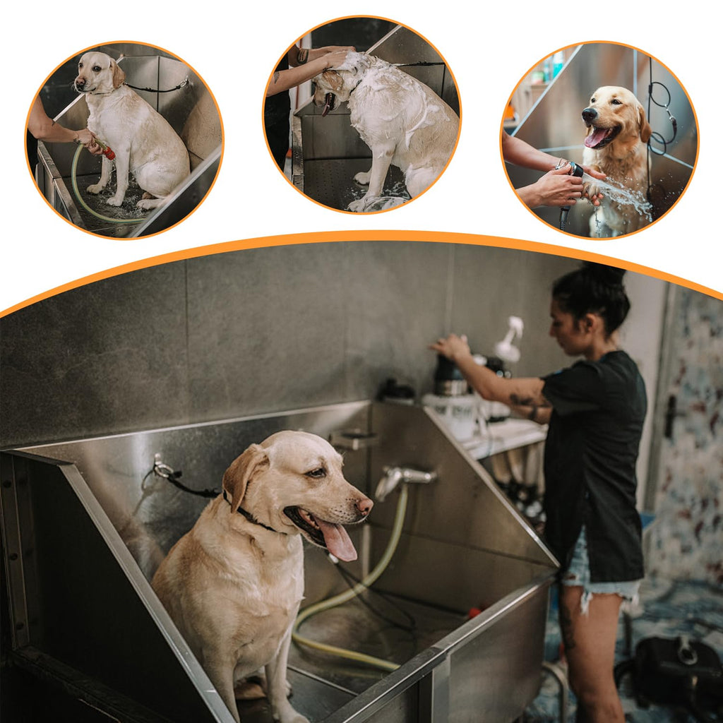 Stainless Steel Dog Washing Station with Stairs I414223