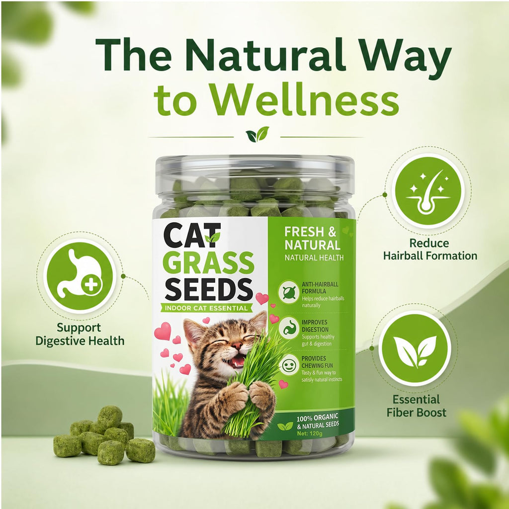 Cat Grass for Indoor Cats T322