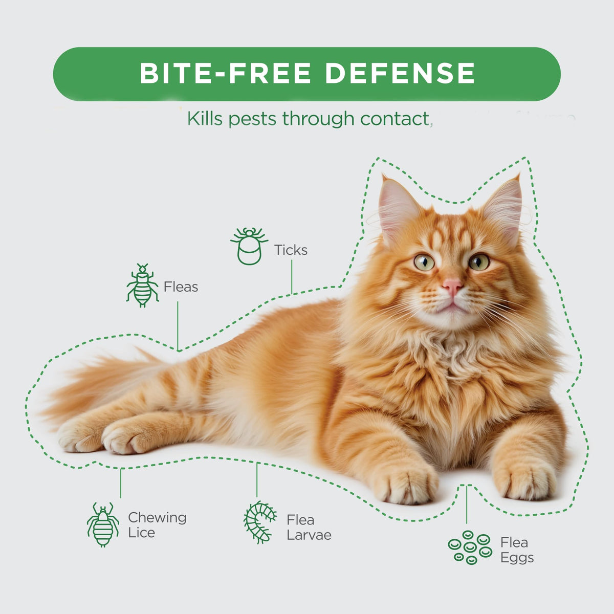 Flea and Tick Topical for Cats 3 Dose M120