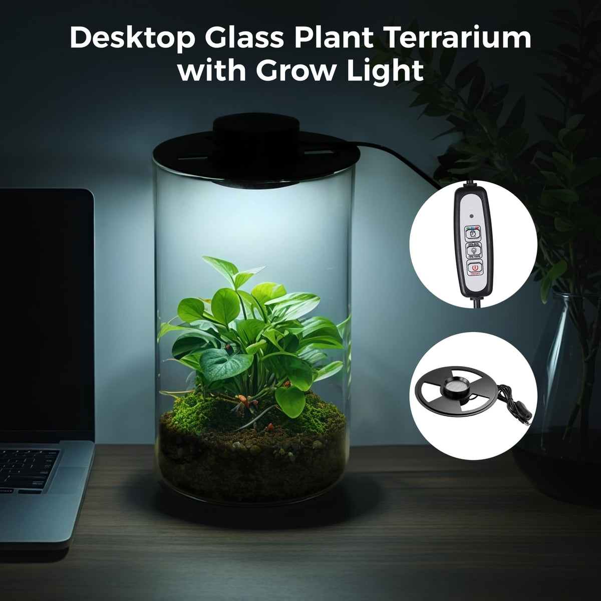 Glass Plant Terrarium with Grow Light 10 X 6IN O5471