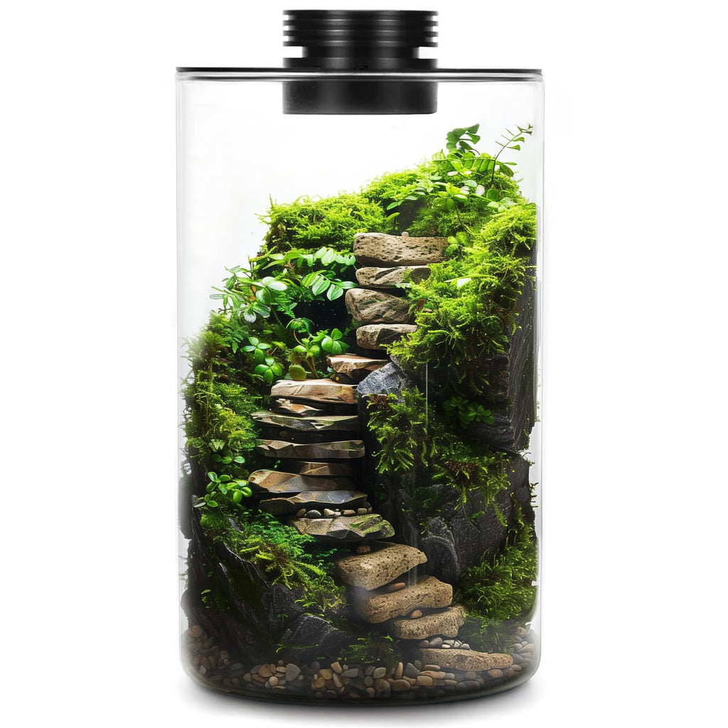Glass Plant Terrarium with Grow Light 10 X 6IN O5471