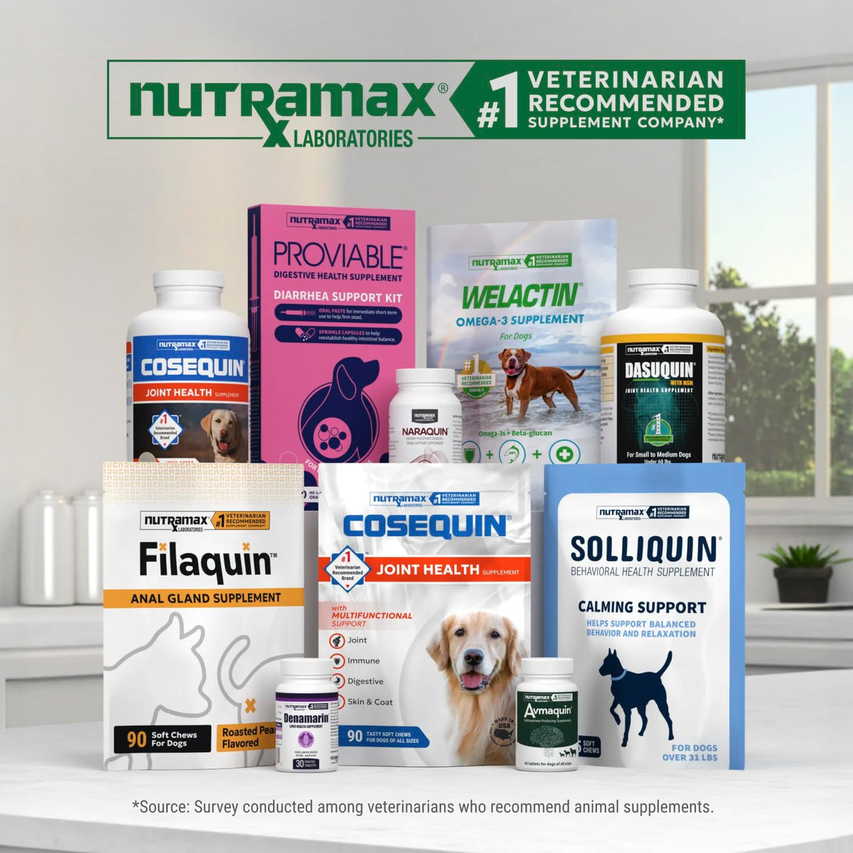 Chewable Tablets Joint Supplement for Large Dogs J314089