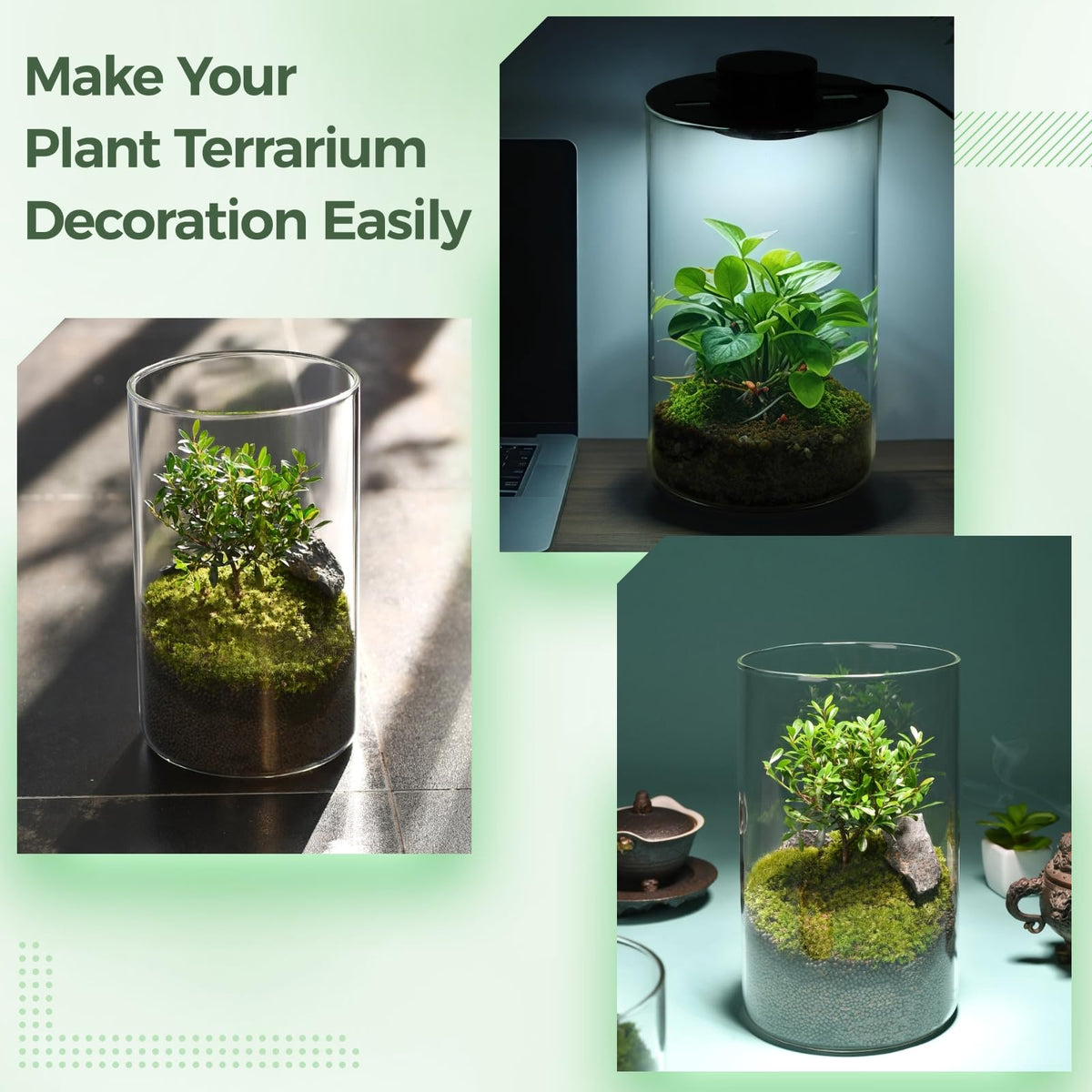 Glass Plant Terrarium with Grow Light 10 X 6IN O5471