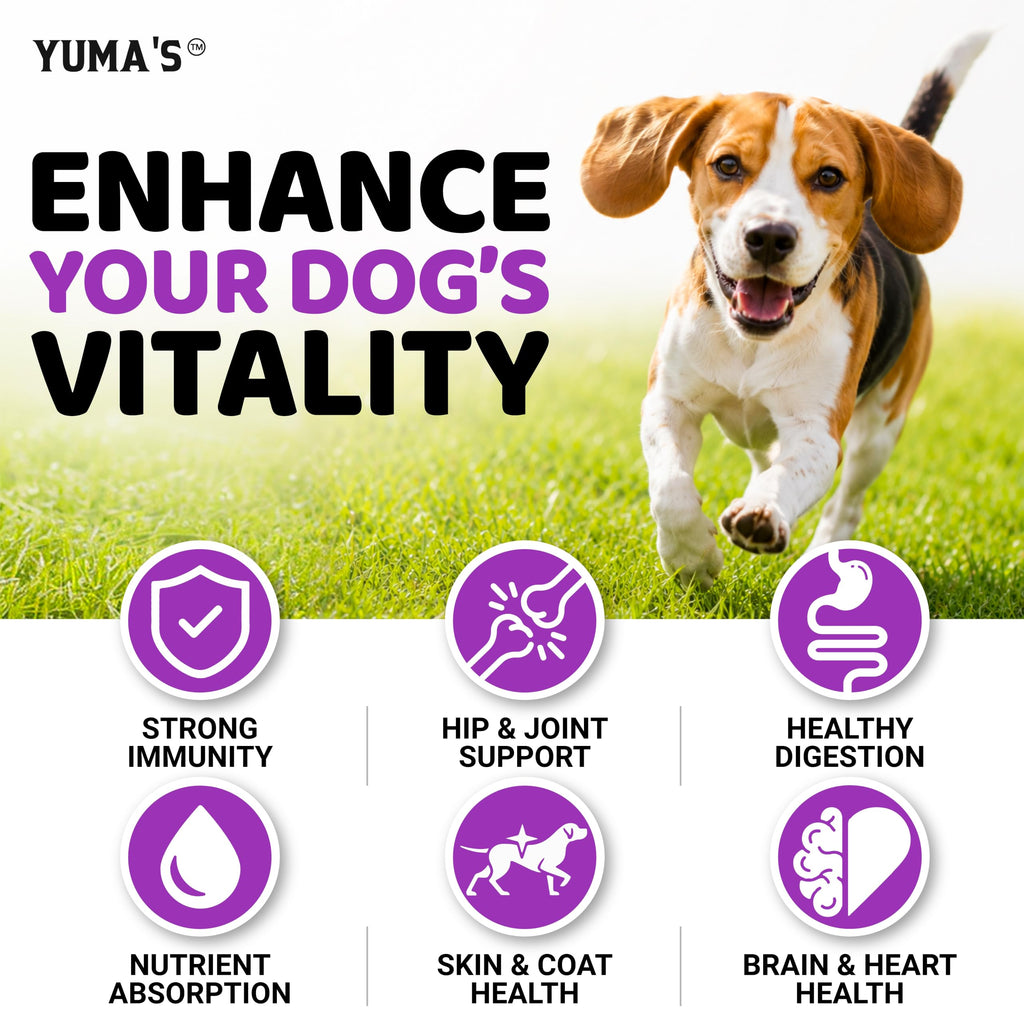Dog Multivitamin with Glucosamine, 240 Treats L7946