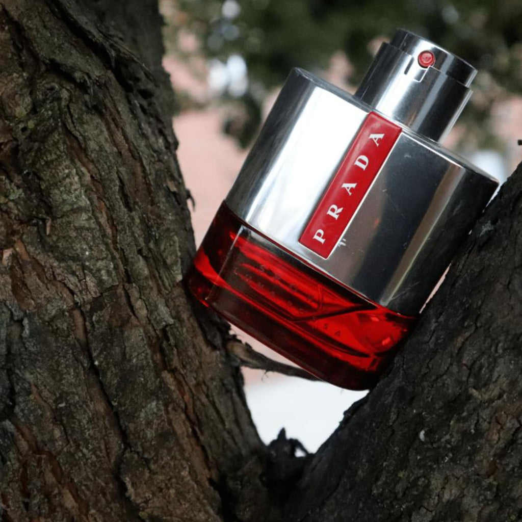 Eau de Toilette 100 ml Q19708
