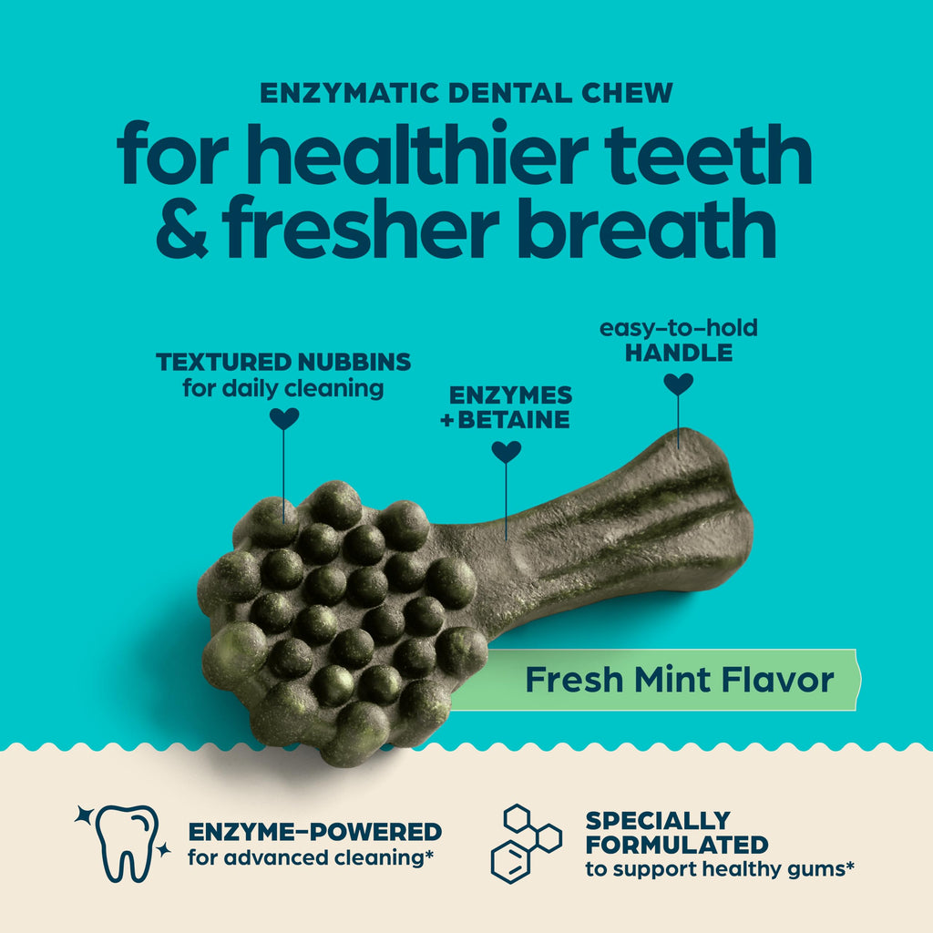 Fresh Mint Flavor Dental Chews, 13 Count Q1339