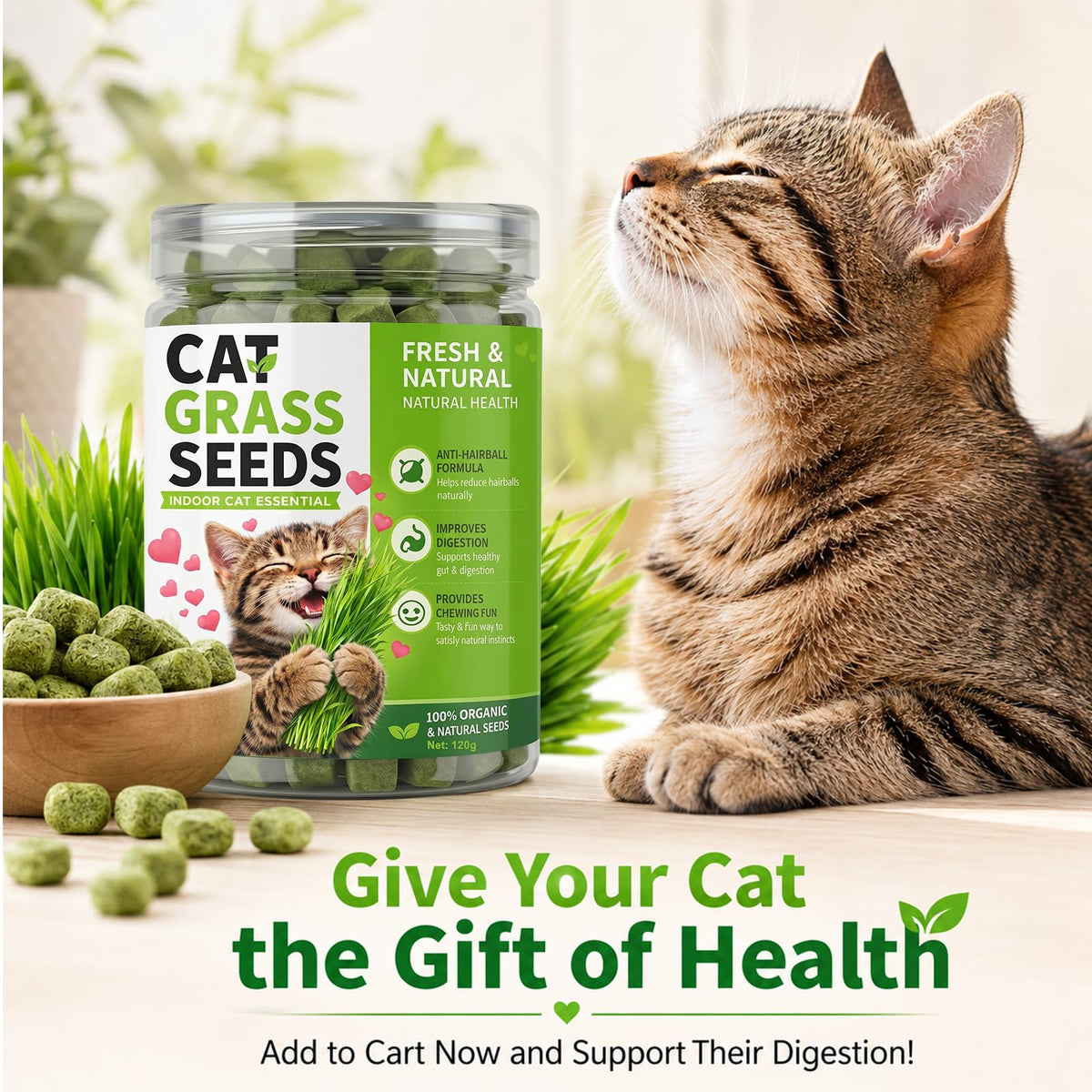 Cat Grass for Indoor Cats T322