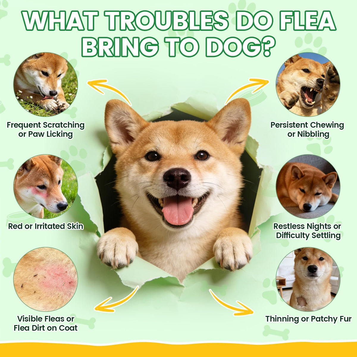 Chicken Flavor Soft Chews O477092