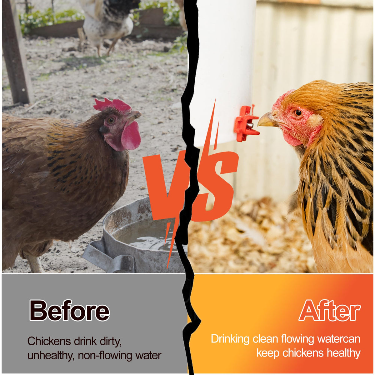 Automatic Chicken Waterer Nipples 20 Pack P628