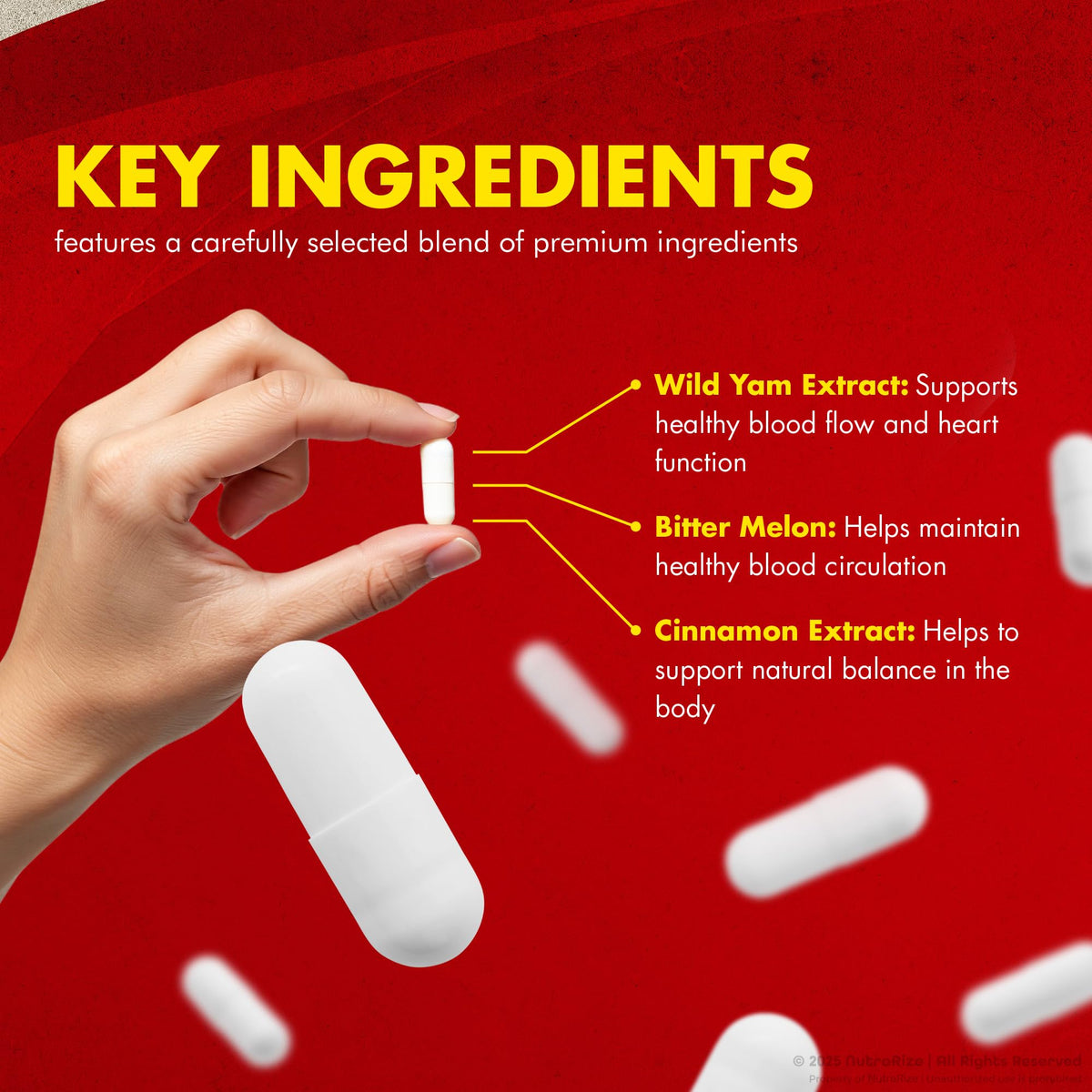 Natural Blood Support Capsules U5461