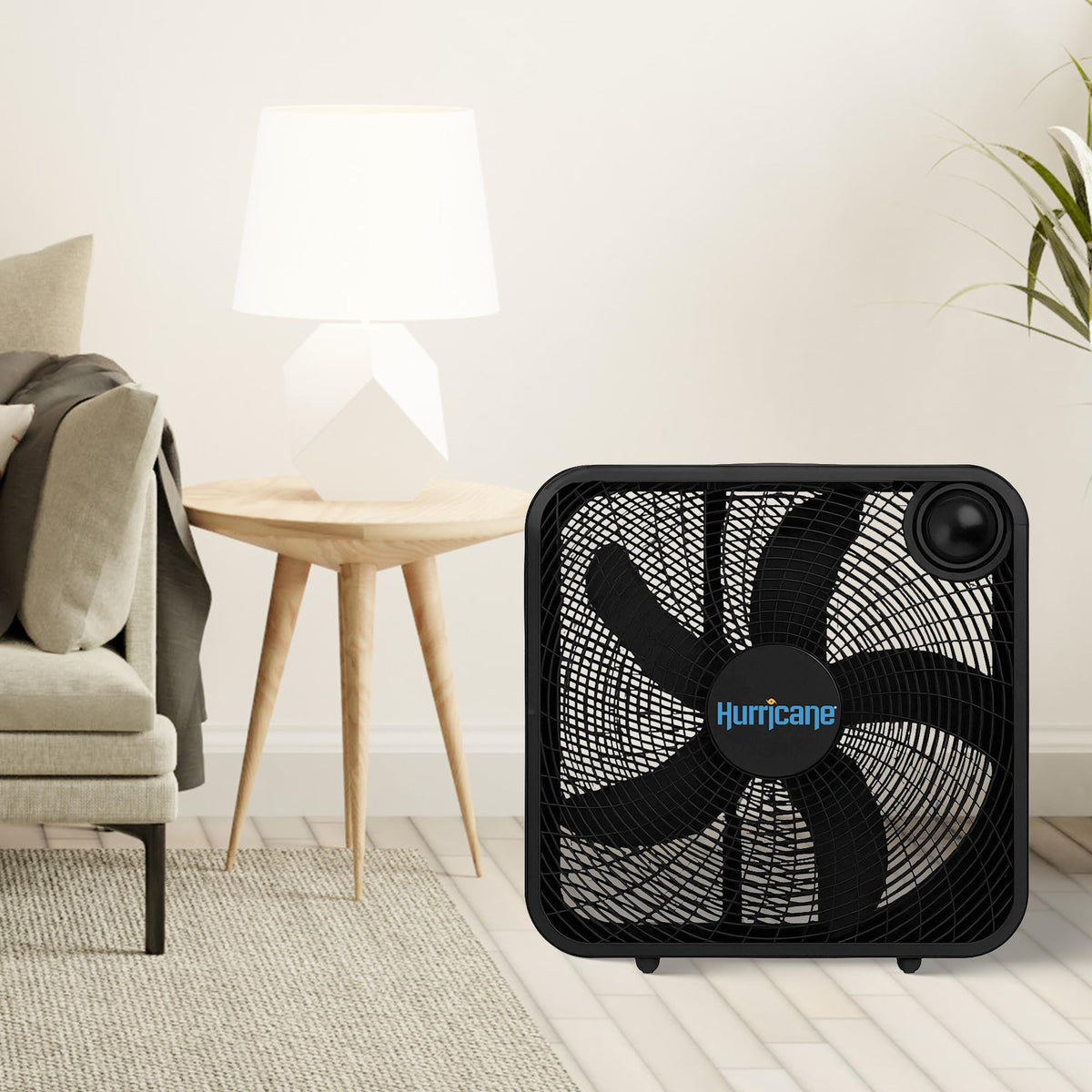 Black 3 Speed 20in Floor Box Fan R93059