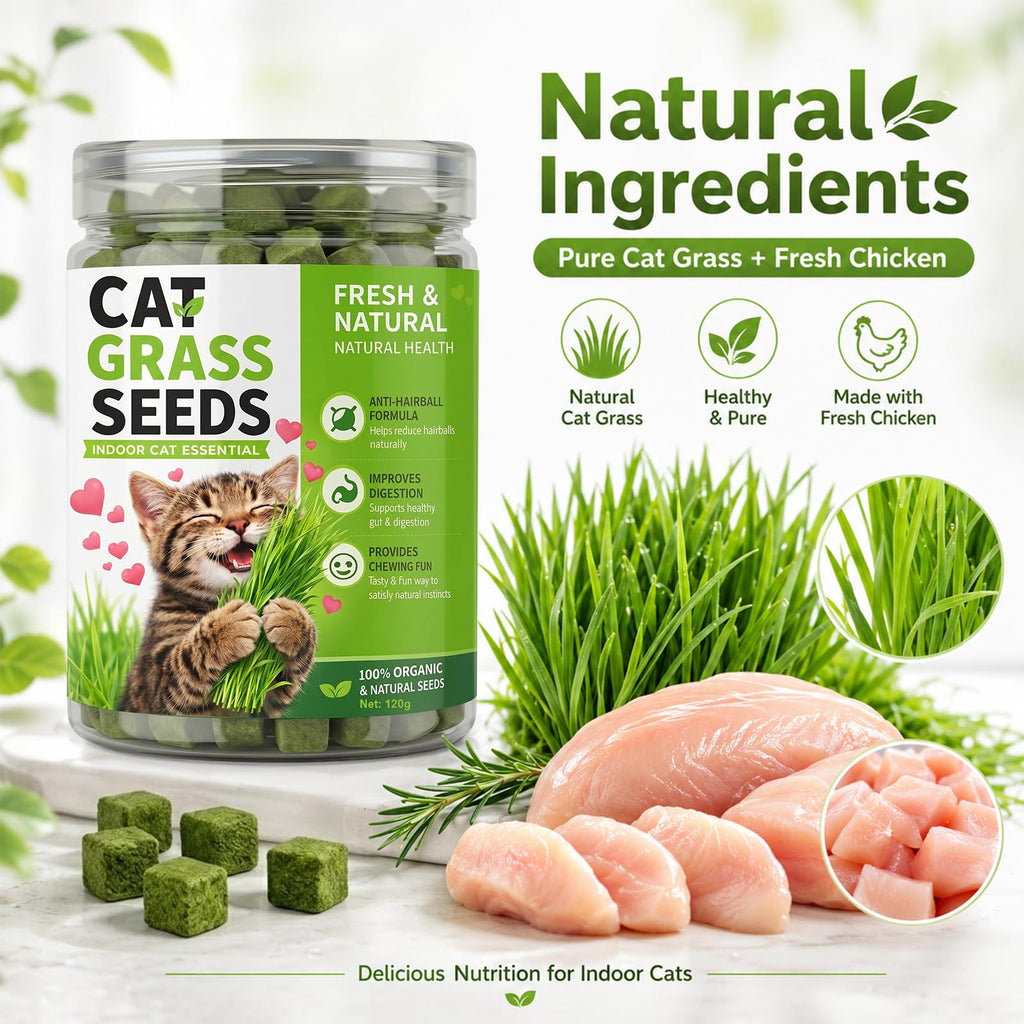 Cat Grass for Indoor Cats T322
