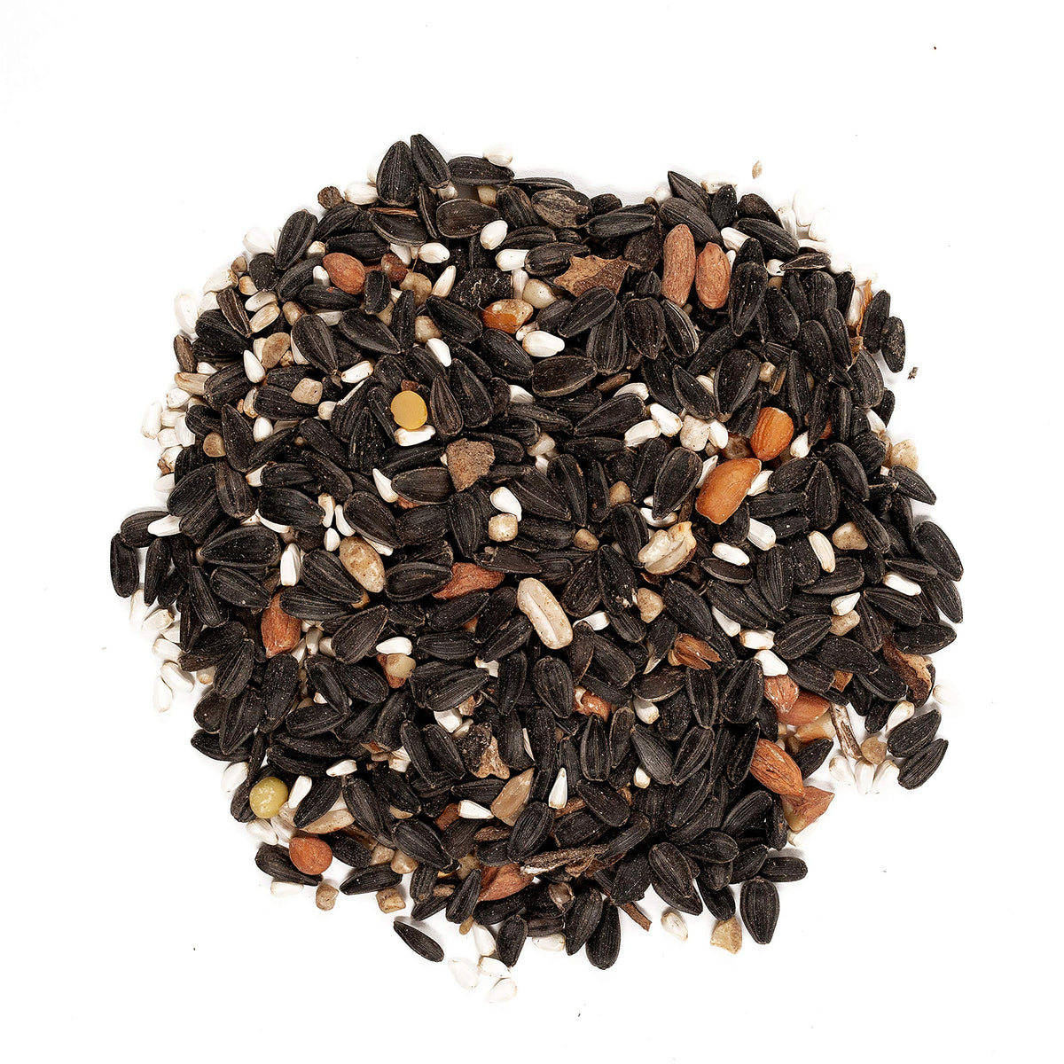 Wild Bird Food Bundle 20 lbs + 5 lbs V611