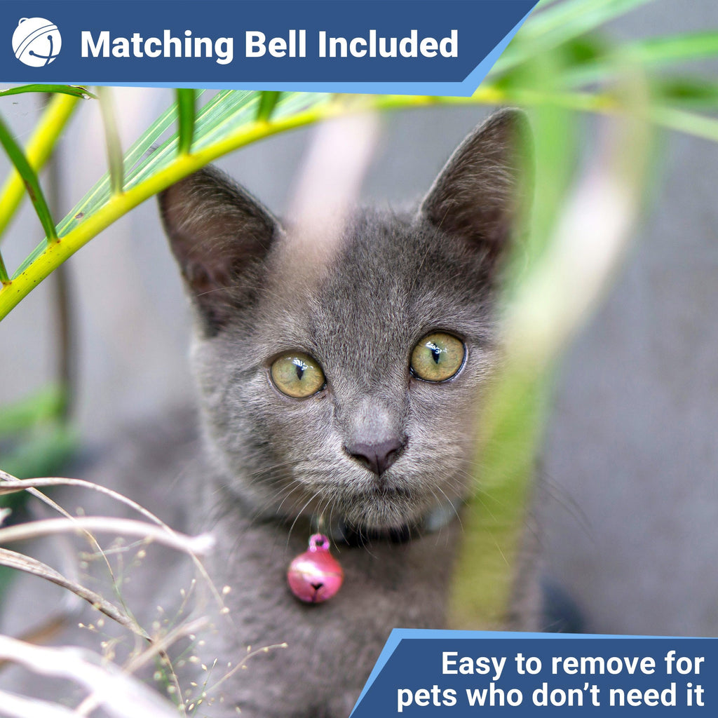 Reflective Breakaway Cat Collar A1353