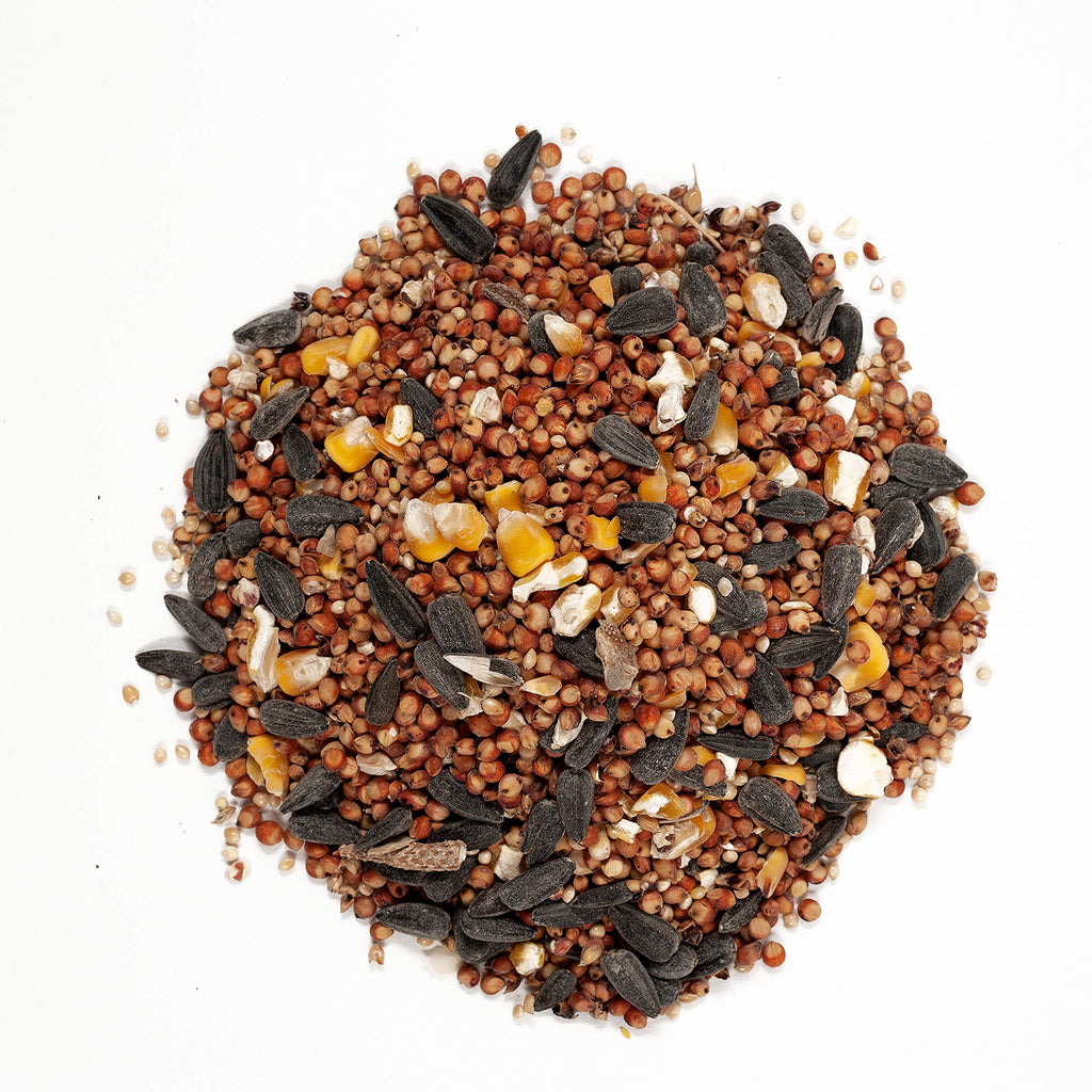 Wild Bird Food Bundle 20 lbs + 5 lbs V611